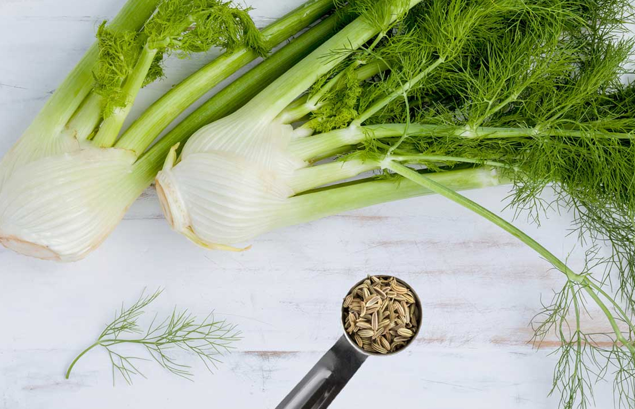 Fennel